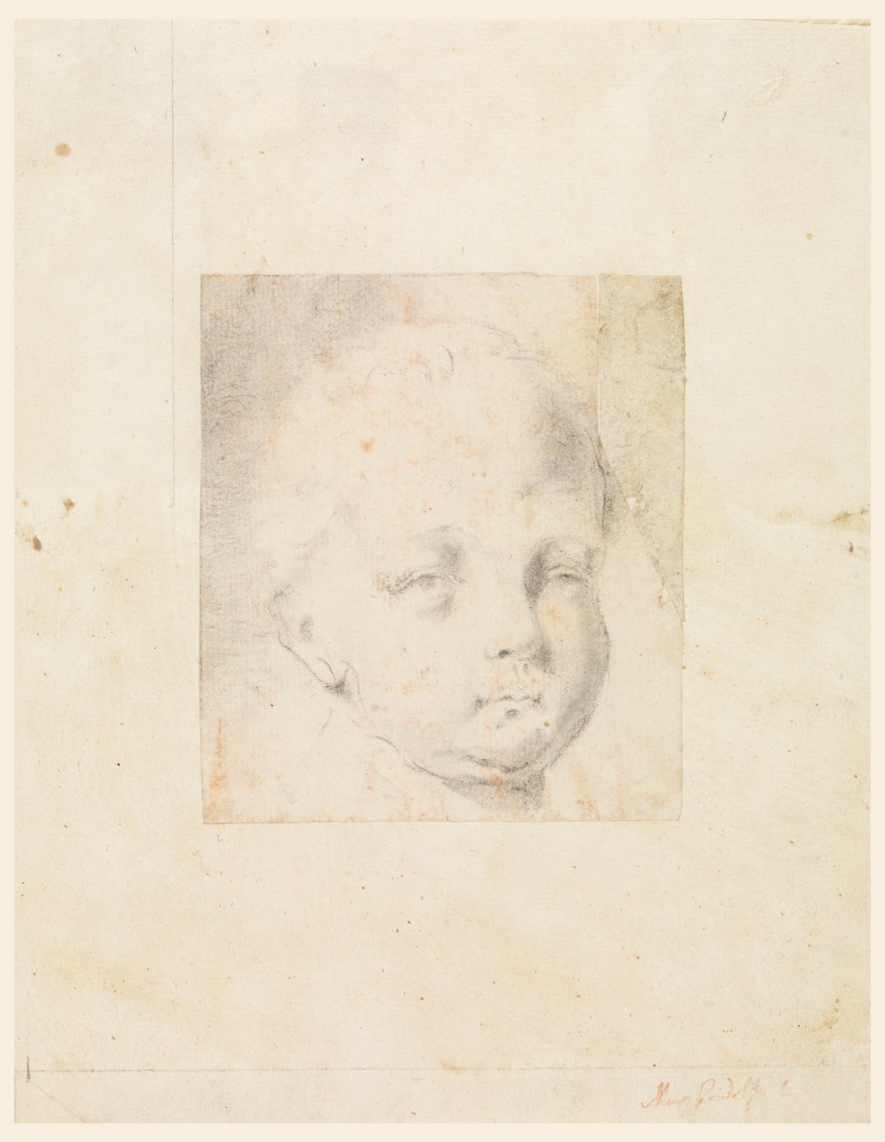 Study: Head of a Boy by Mauro Gandolfi