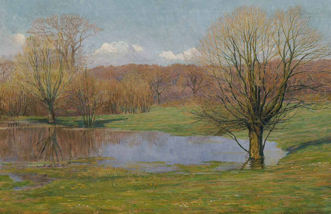 Floodplain Landscape in Early Spring by Max Kahrer