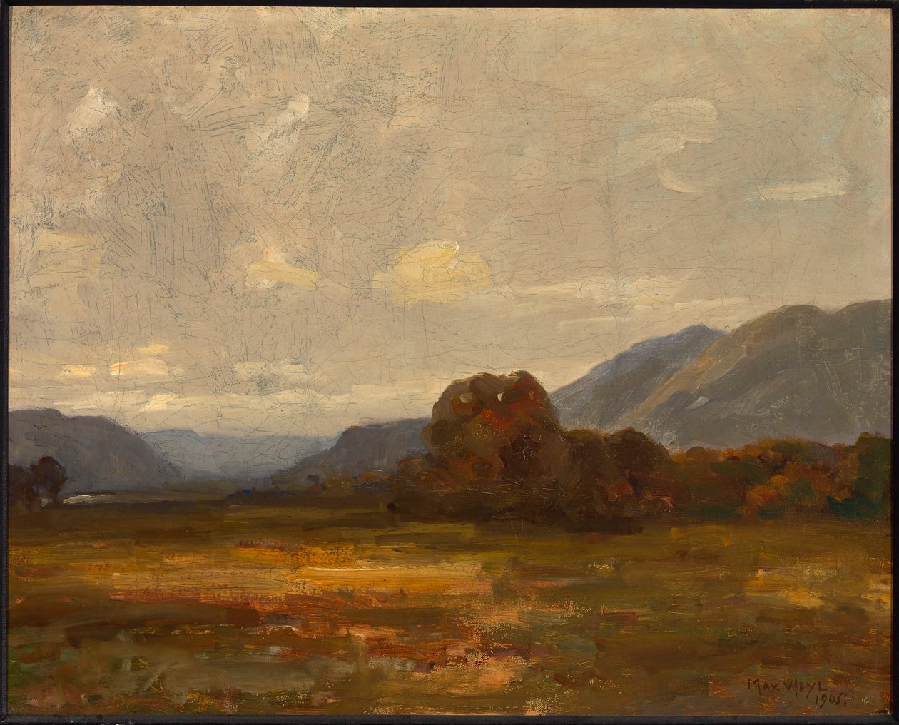 Landscape by Max Weyl