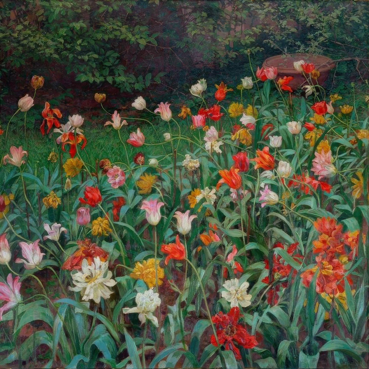 Tulips by Maximilian Lenz