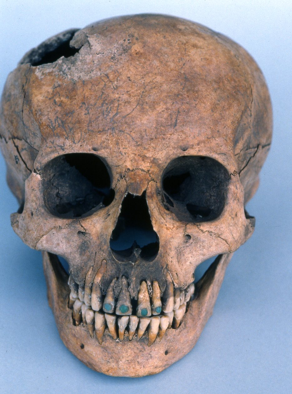 Skull with jade-encrusted teeth by Mayan
