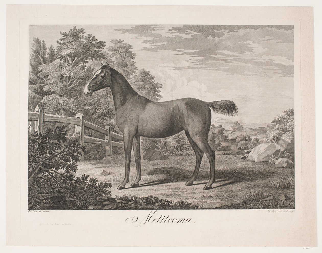 The Horse 