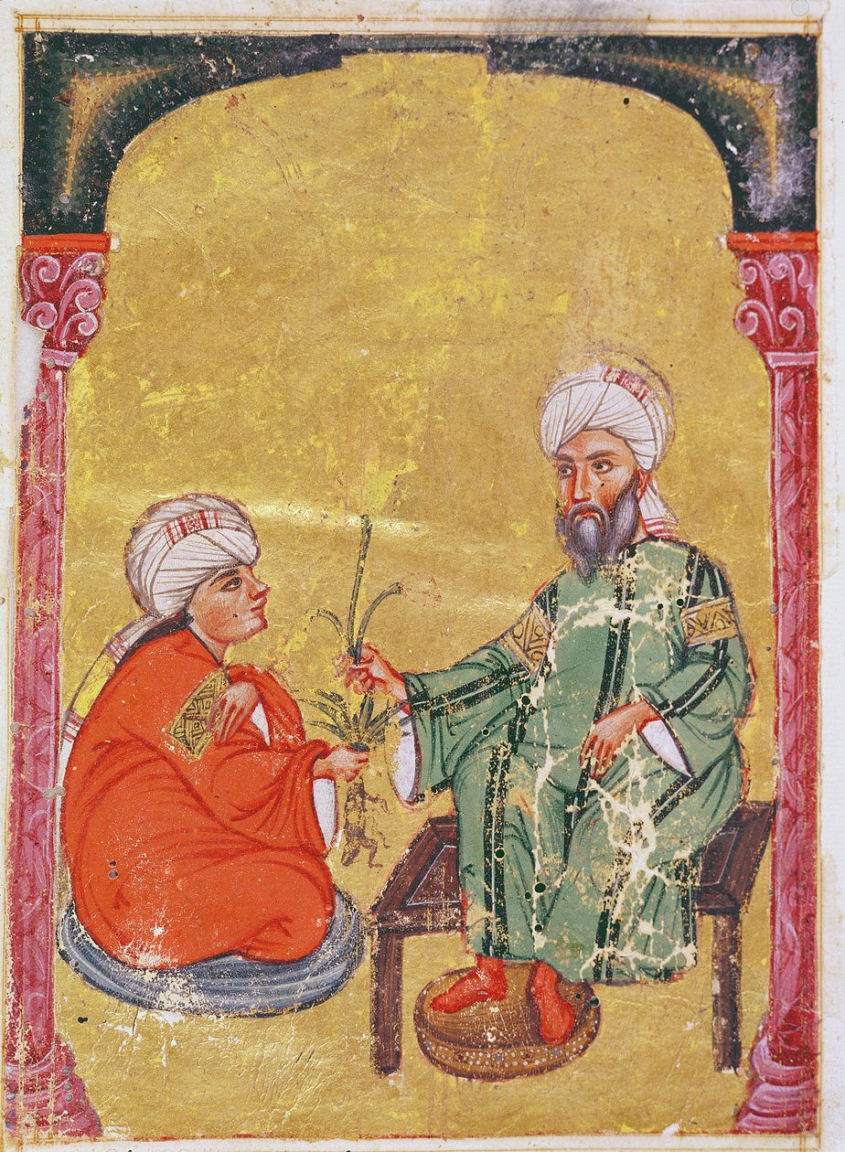 Ahmet III, Illustration from 