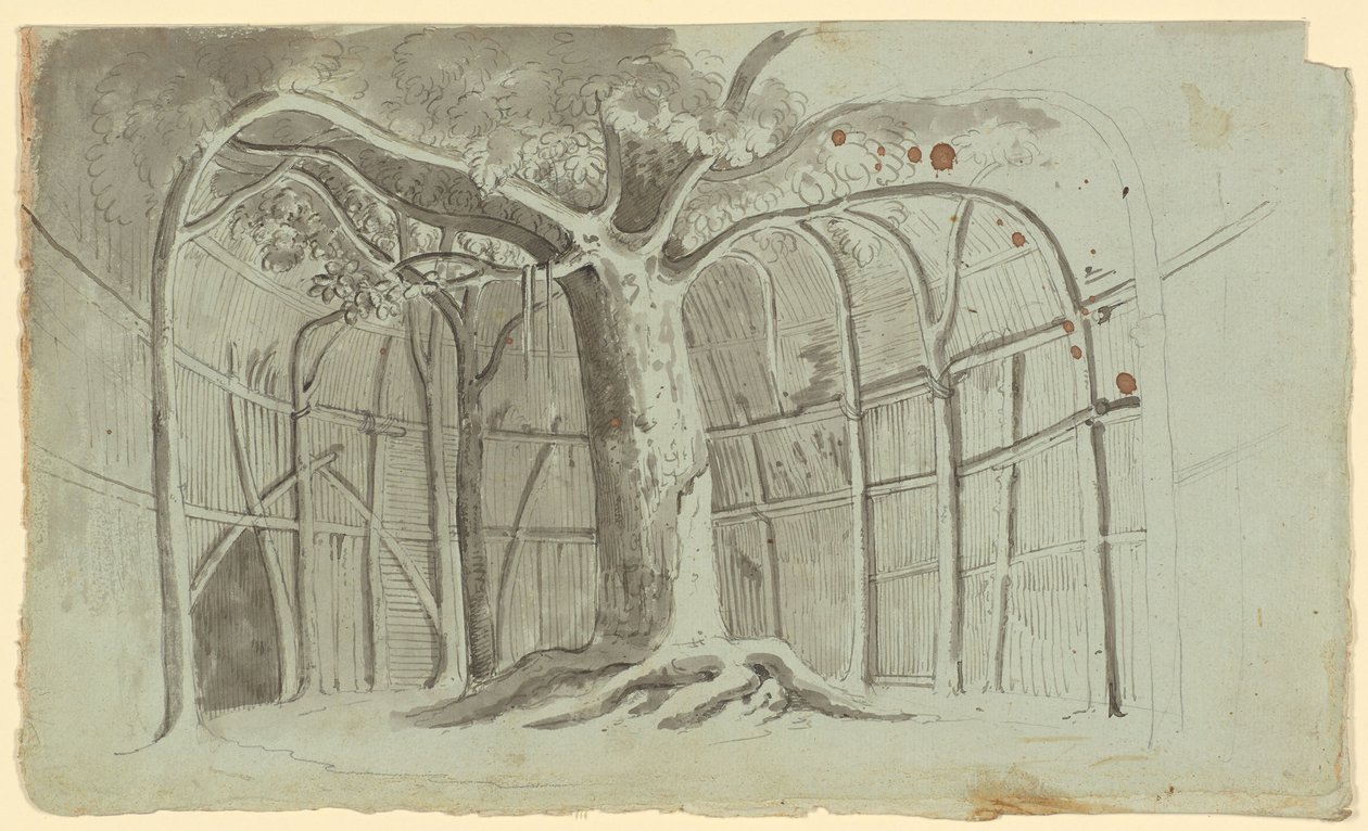 Crude Hut around a Tree by Michael Mayr