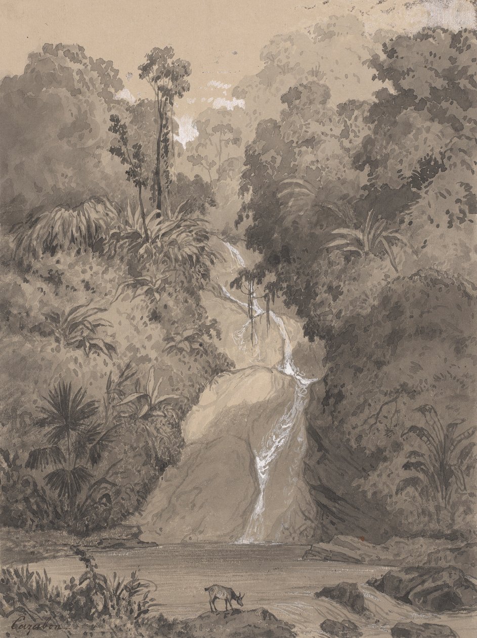 Cascade at St. Anns by Michel Jean Cazabon