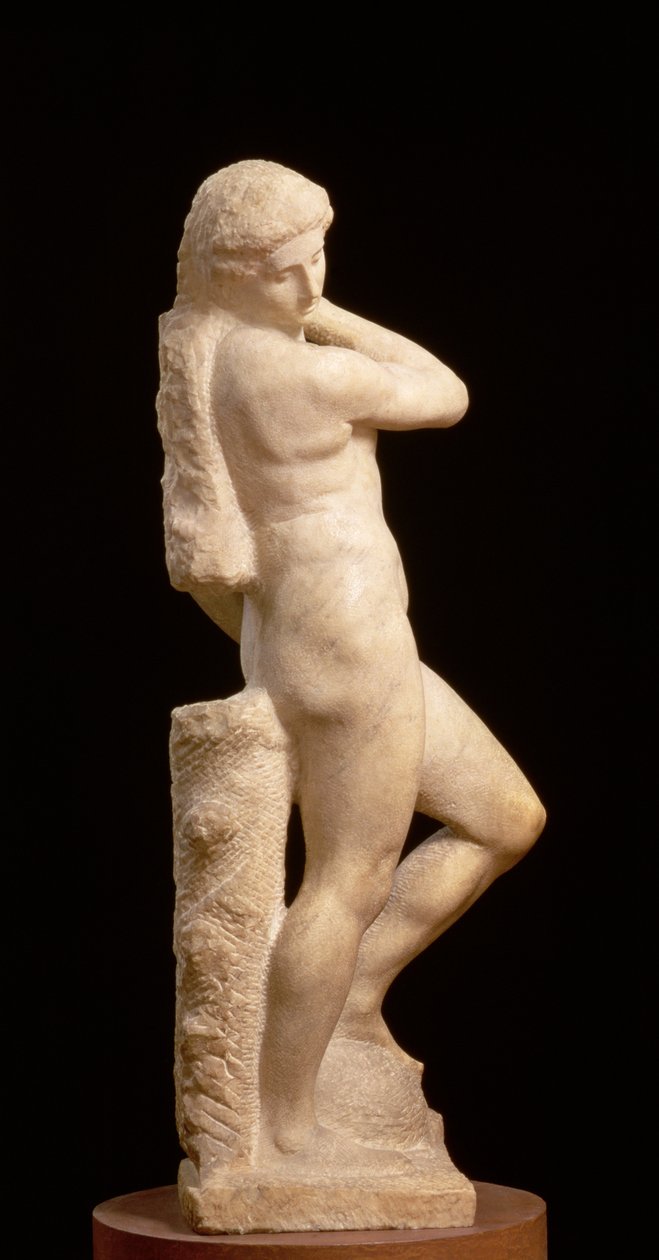 Apollo, or David by Michelangelo Buonarroti