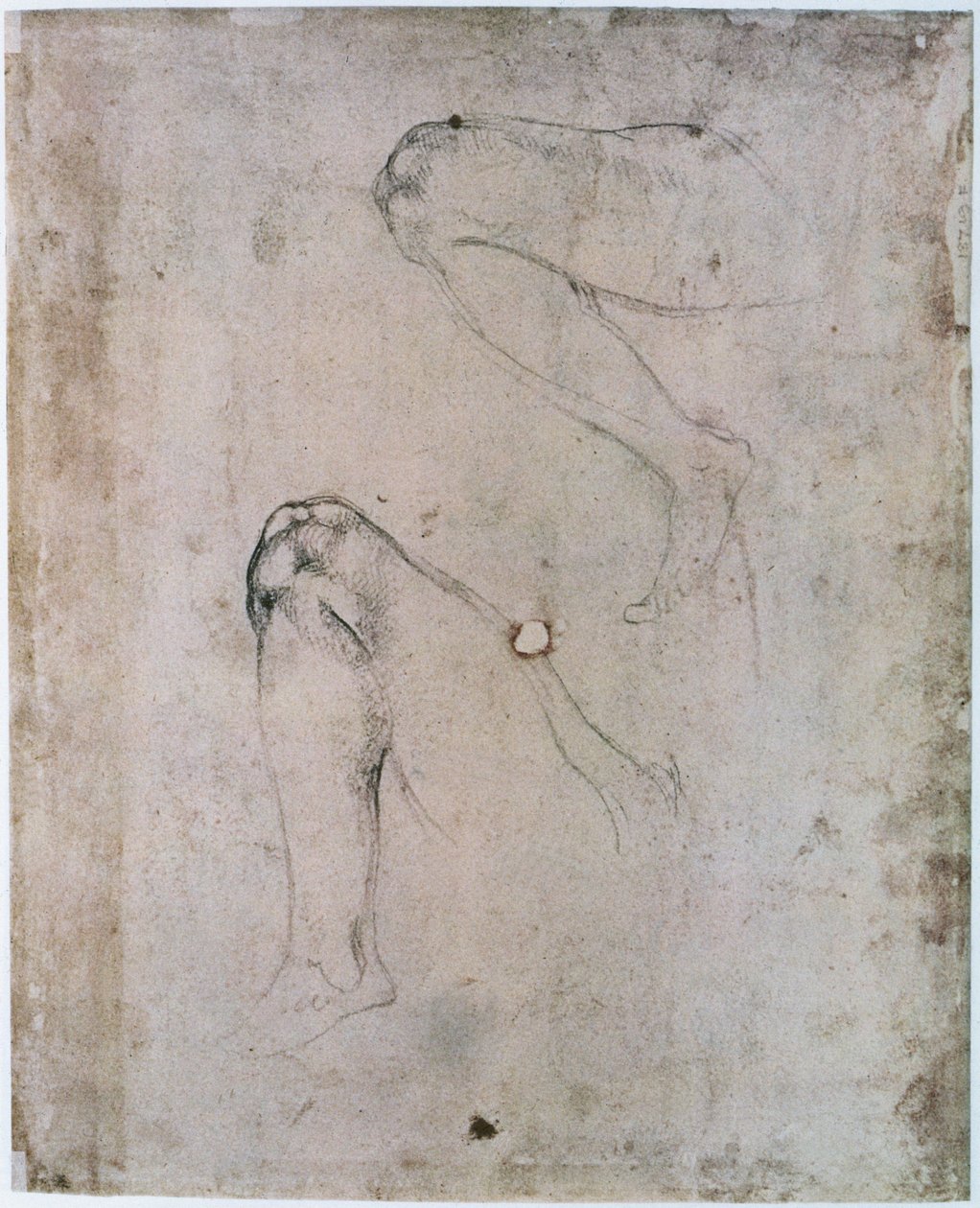 Sistine Chapel Ceiling: Two Sketches of the Right Leg of Eve from the Scene of The Original Sin by Michelangelo Buonarroti