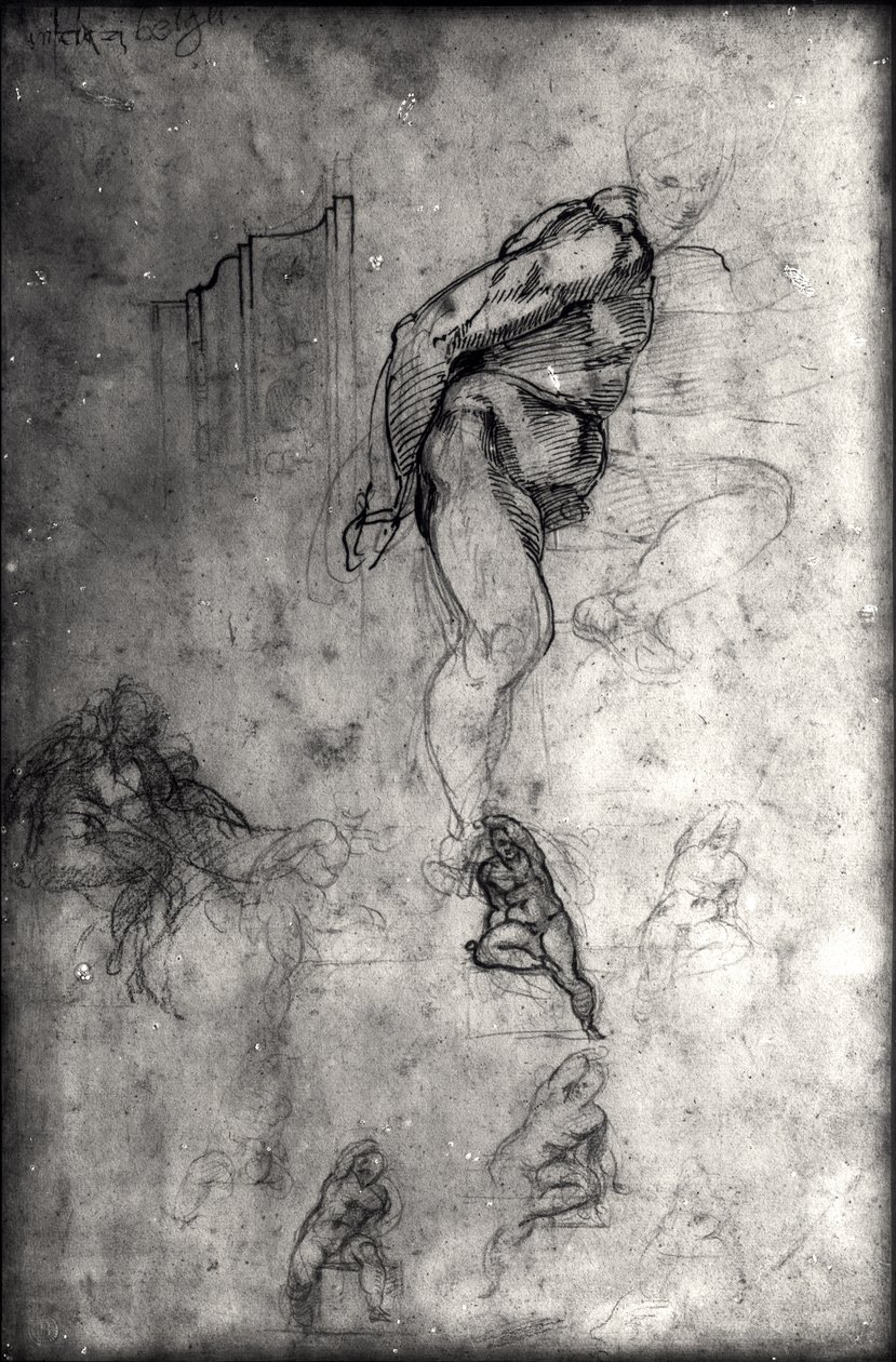 Studies for figures in the Sistine Ceiling by Michelangelo Buonarroti