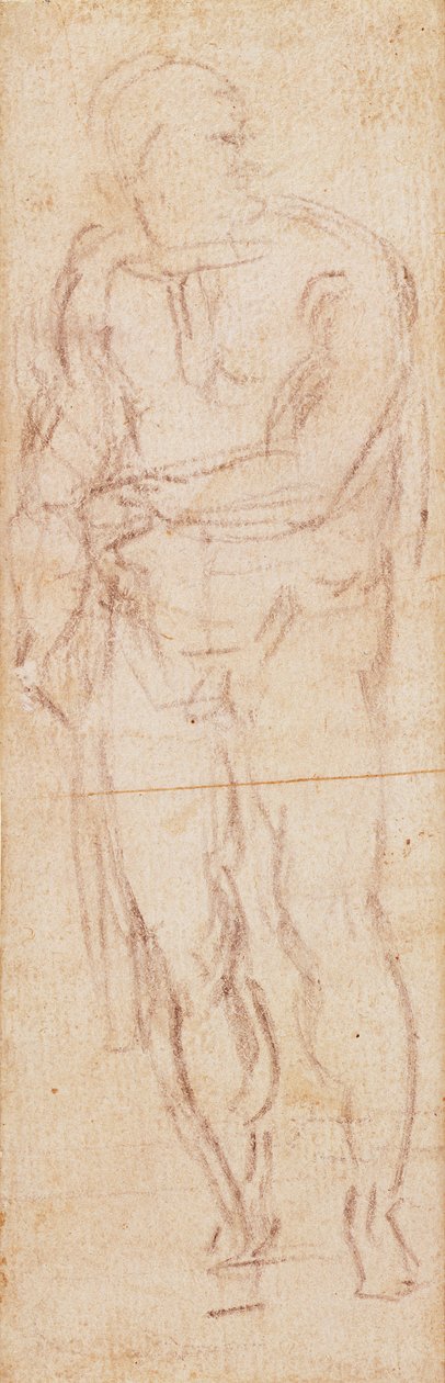 Study for Adam in 