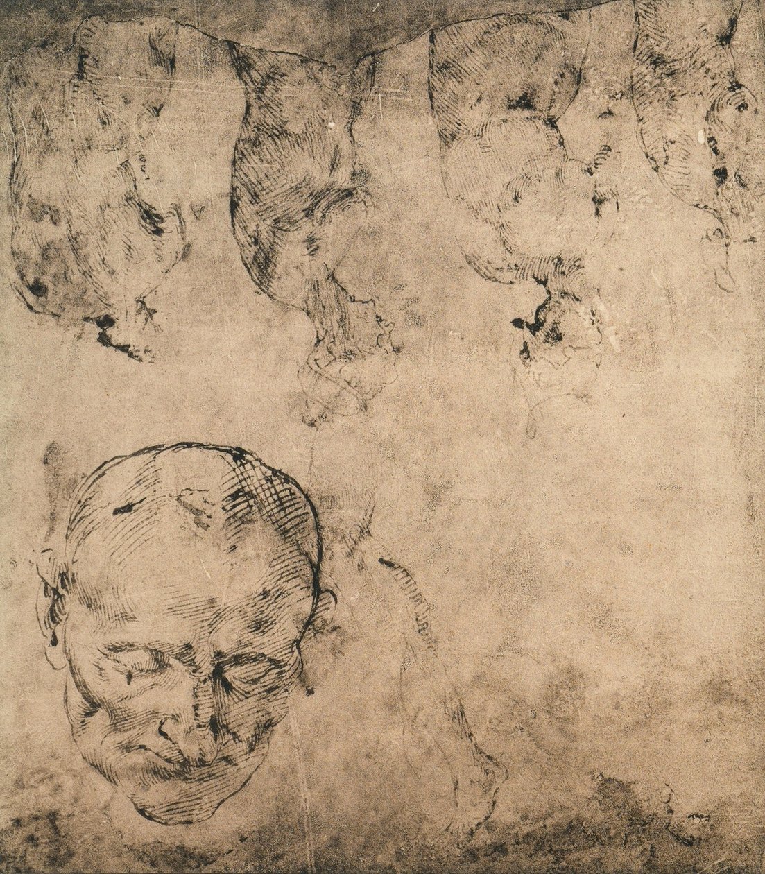 Study for a Head by Michelangelo Buonarroti