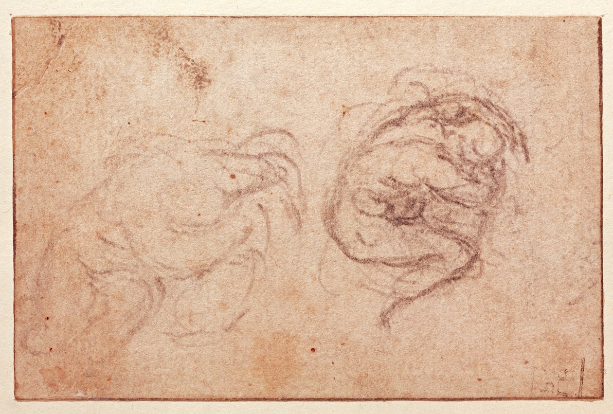 Study of a Crouching Figure by Michelangelo Buonarroti