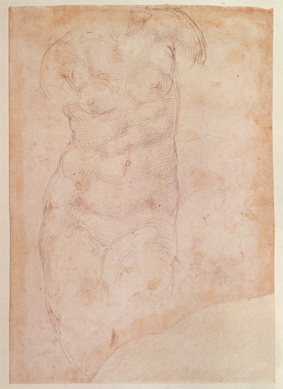 Study of a Female Nude by Michelangelo Buonarroti