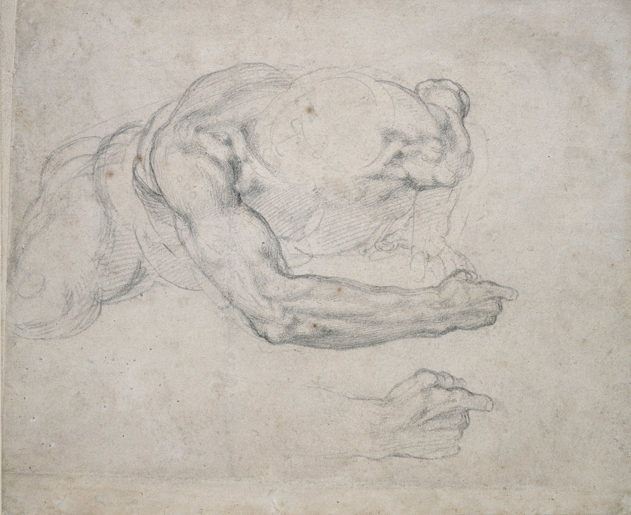Study of a Man rising from the Ground by Michelangelo Buonarroti