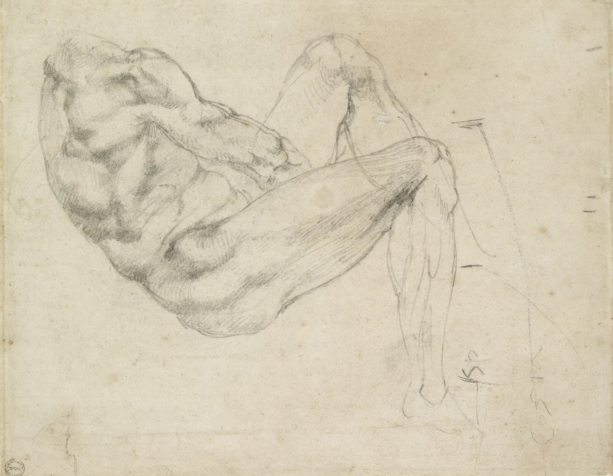 Study of a Recumbent Male Figure by Michelangelo Buonarroti