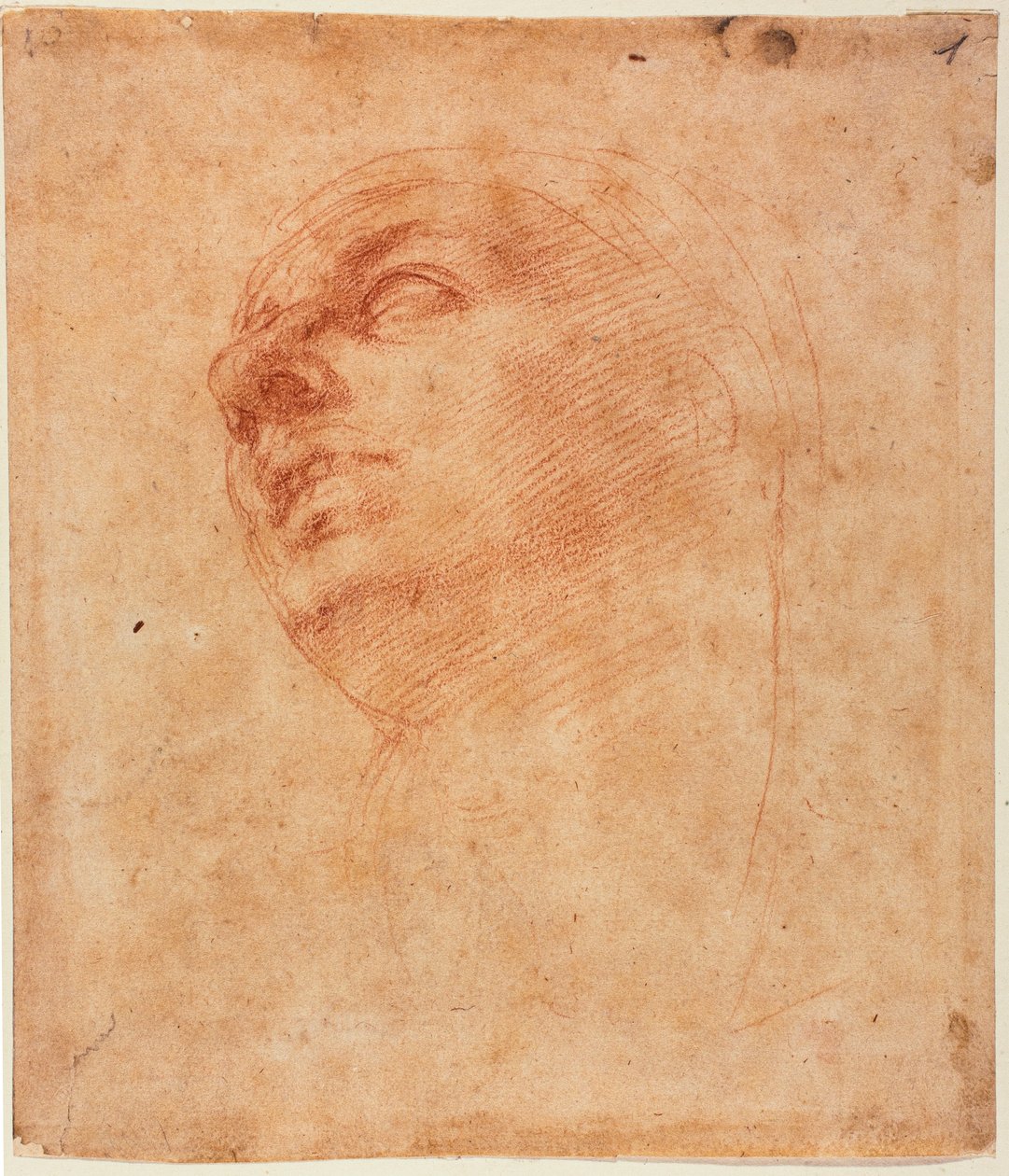 Head Study for the Sistine Jonah by Michelangelo Buonarroti