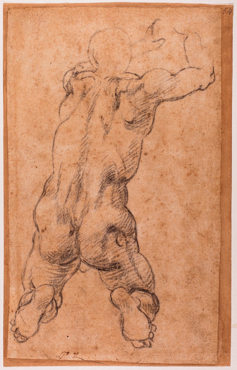 Study of kneeling male nude by Michelangelo Buonarroti