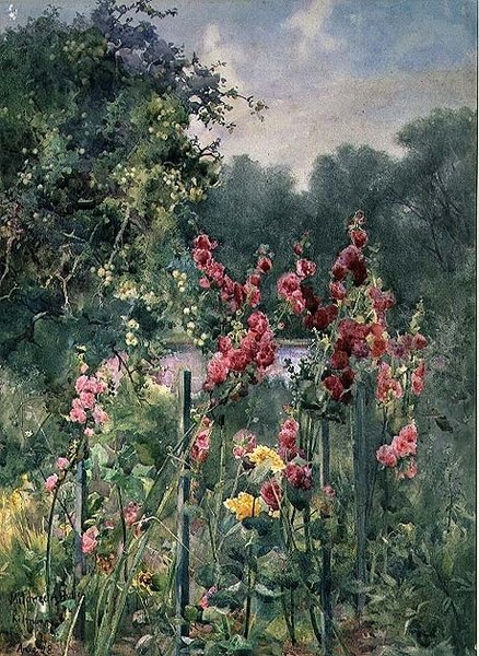 Hollyhocks by Mildred Anne Butler