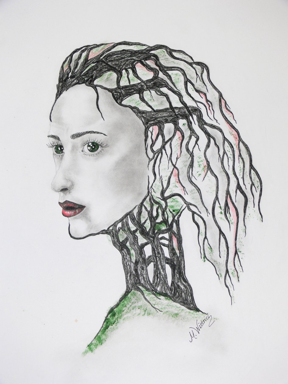 Tree Death by Monika Wittrich