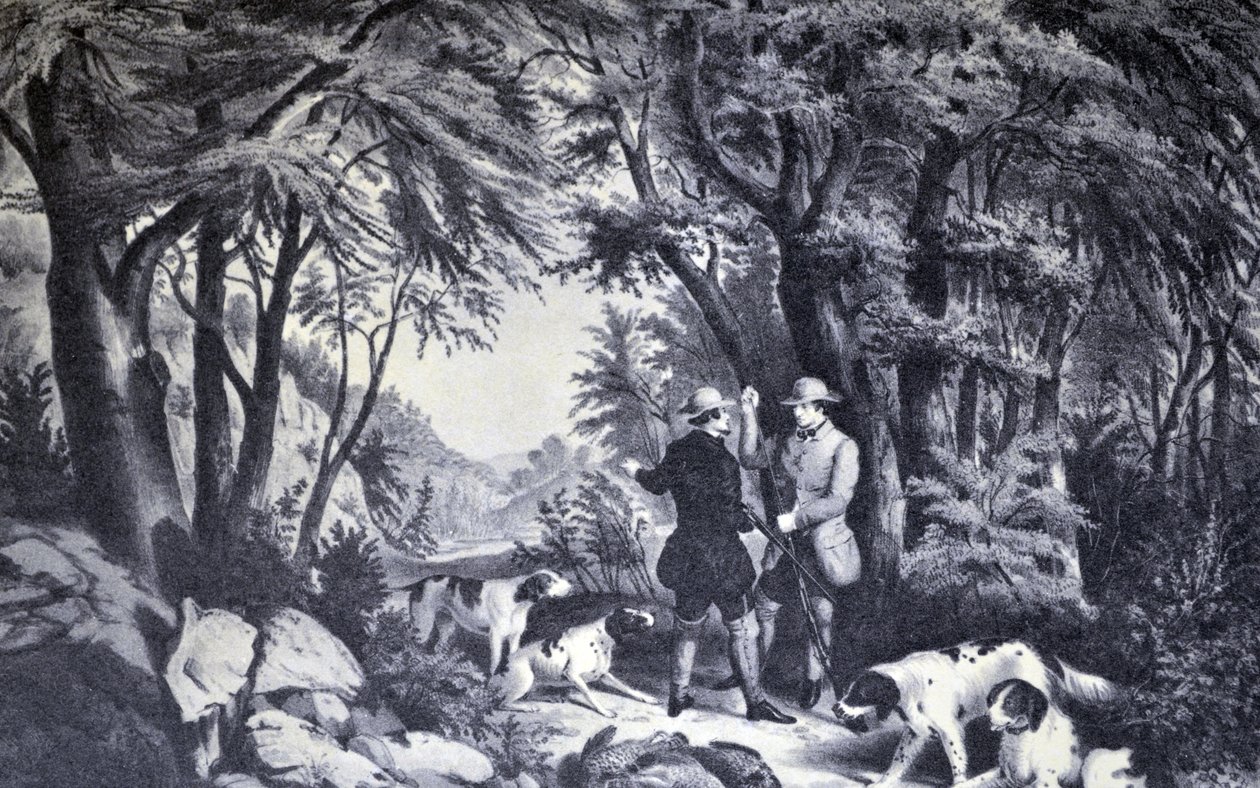 Partridge Shooting by N. and Ives, J.M. Currier