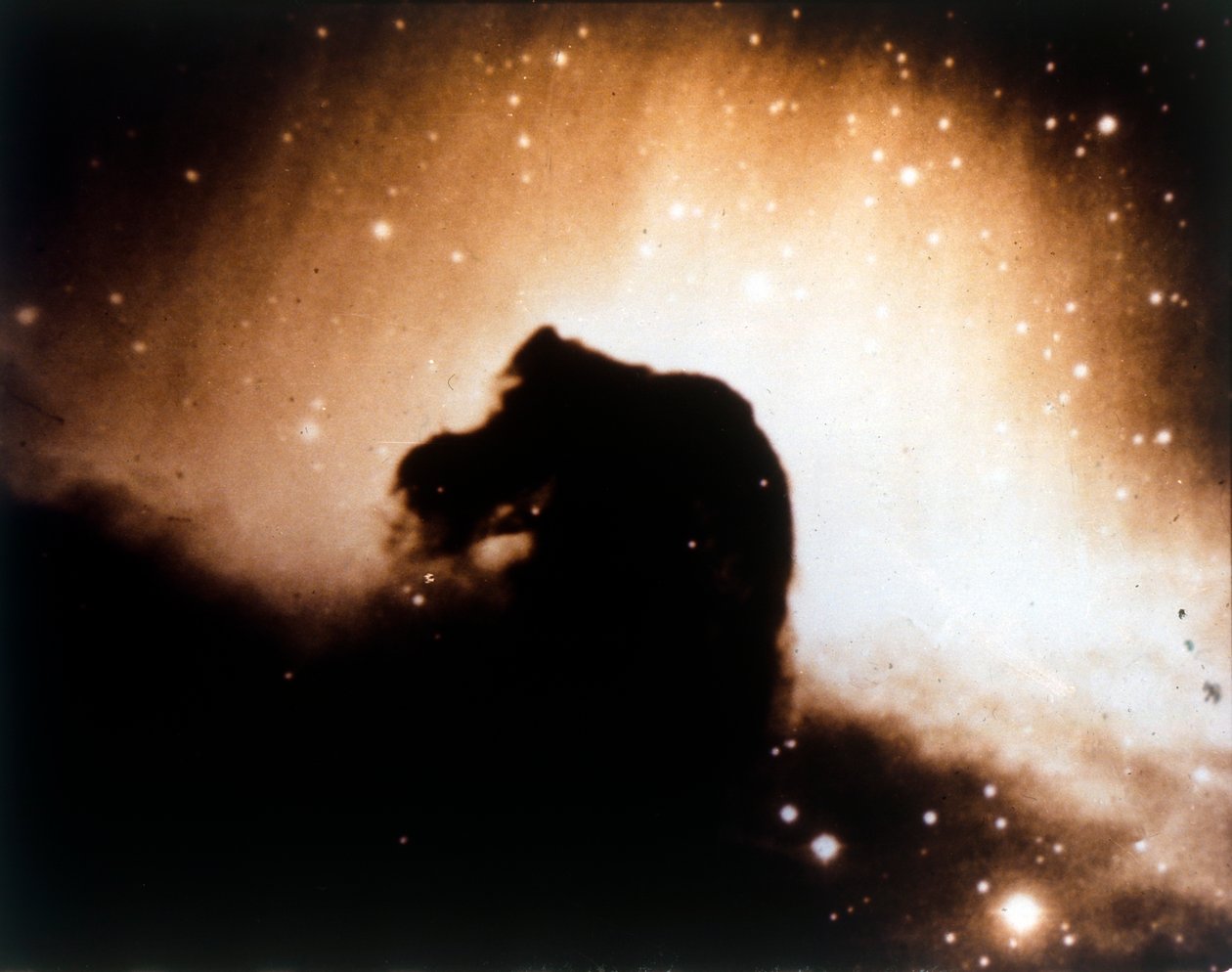 Horsehead Nebula in Orion by NASA Images