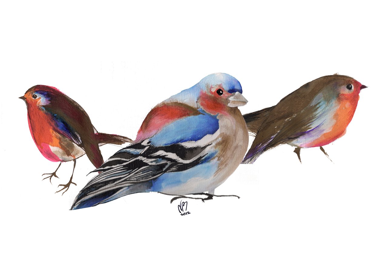 Birds of a feather, ink on paper by Nancy Moniz Charalambous