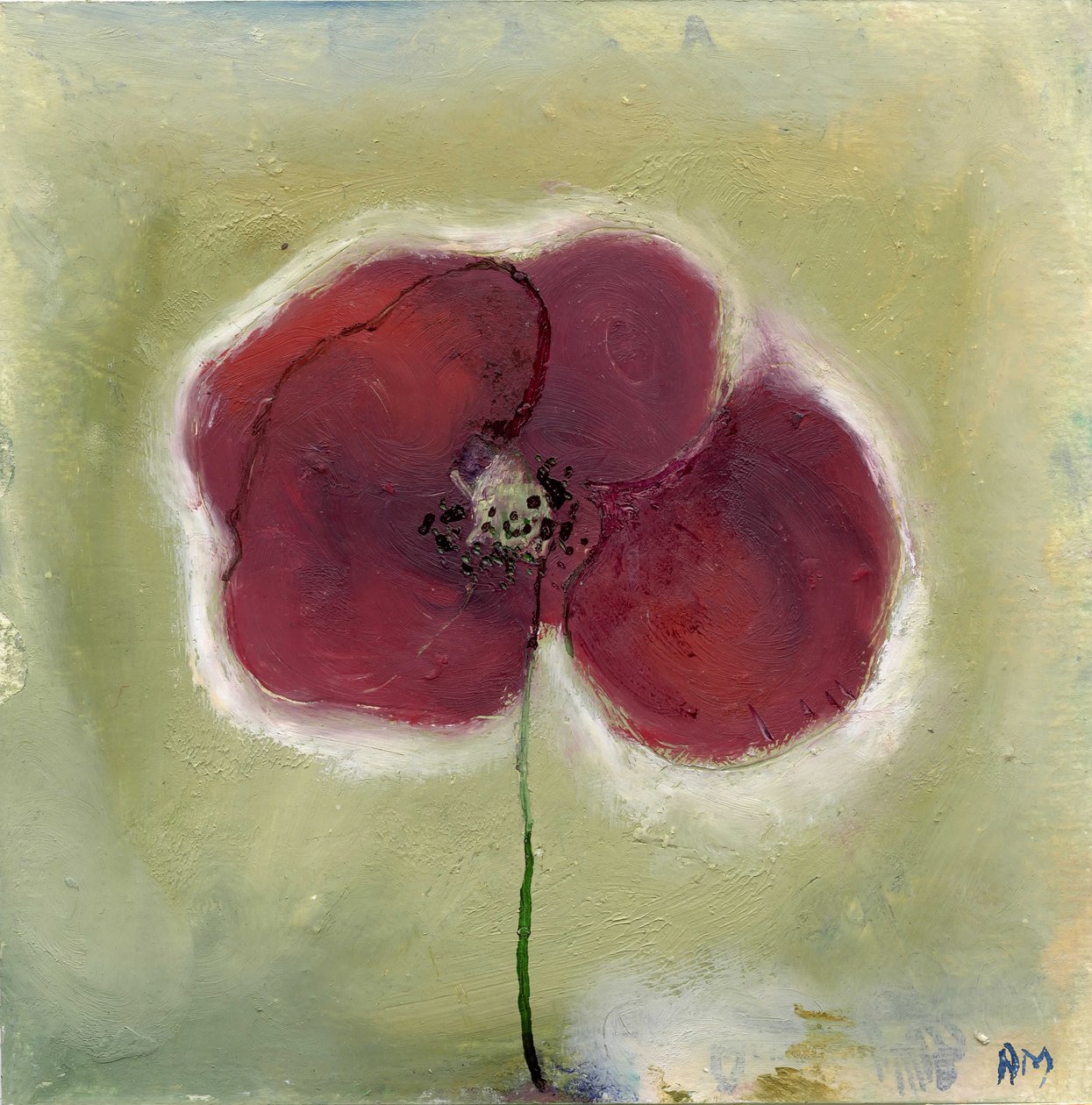 Poppy in my diary by Nancy Moniz Charalambous