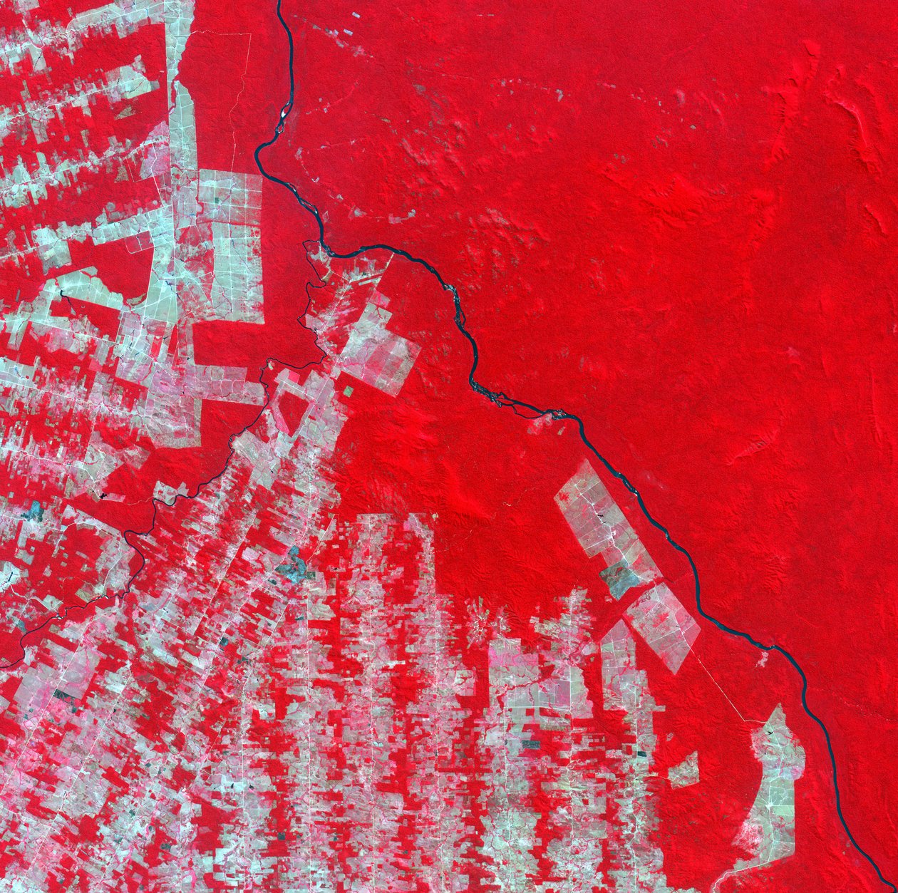 False-color satellite image of deforestation in Rondonia State, Brazil in 2000. Pink and brown areas are cleared land, tropical rainforest shows as bright red by National Aeronautics and Space Administration National Aeronautics and Space Administration