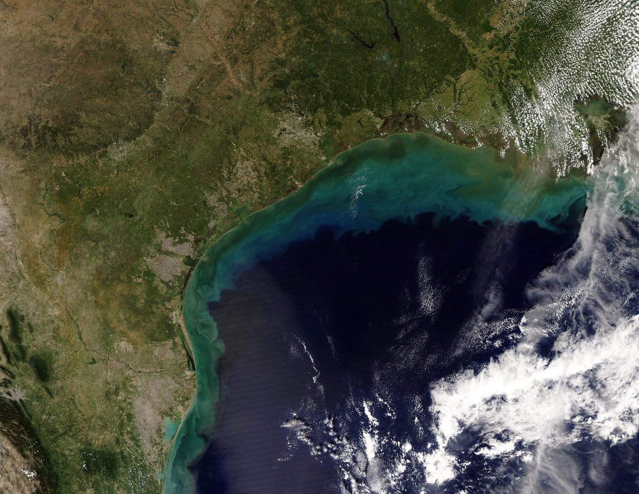 Satellite view of the Gulf Coast, USA - Tamaulipas, Mexico, to New Orleans, Louisiana by National Aeronautics and Space Administration National Aeronautics and Space Administration