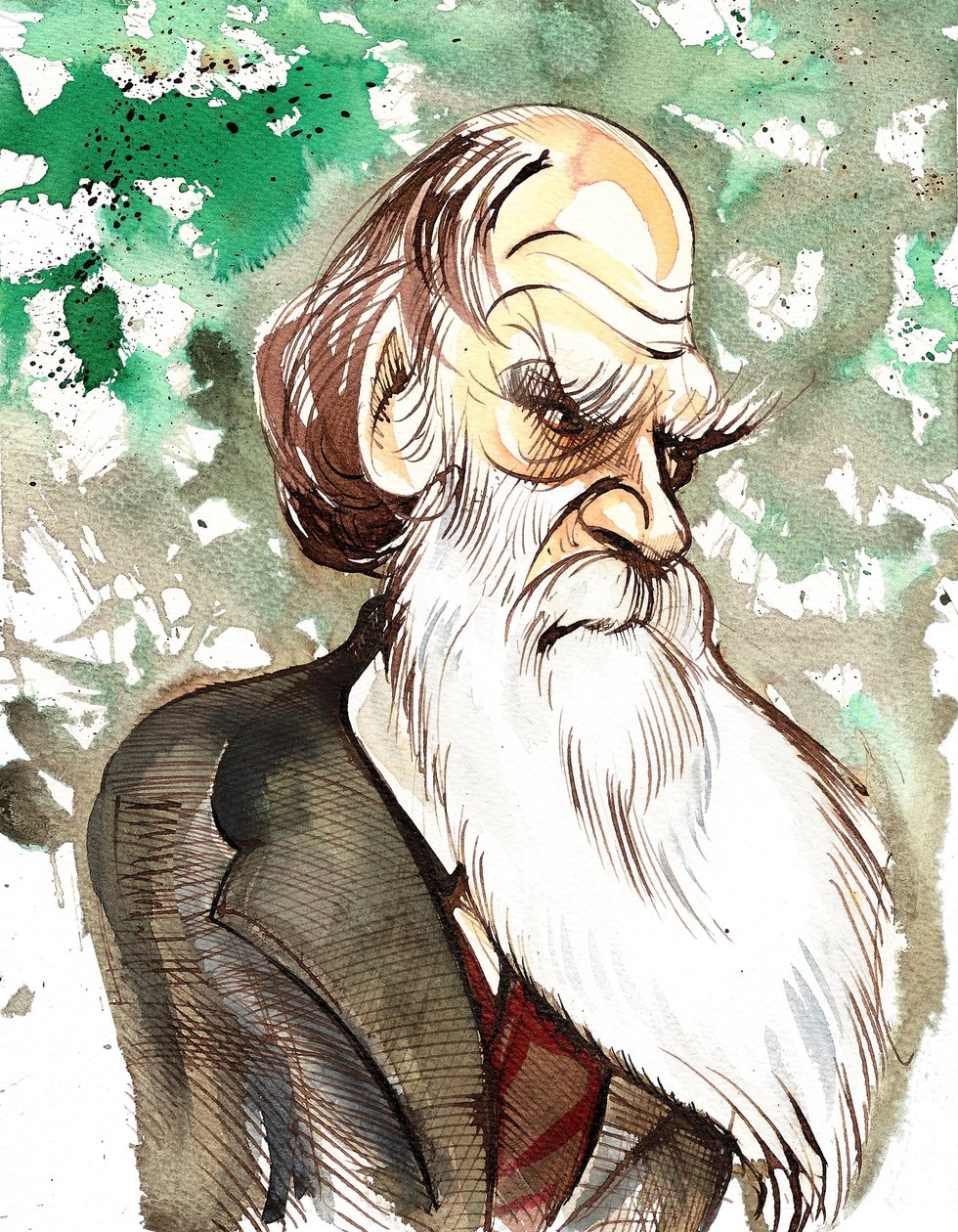 Charles Darwin, English naturalist and writer (1809-82); color caricature by Neale Osborne