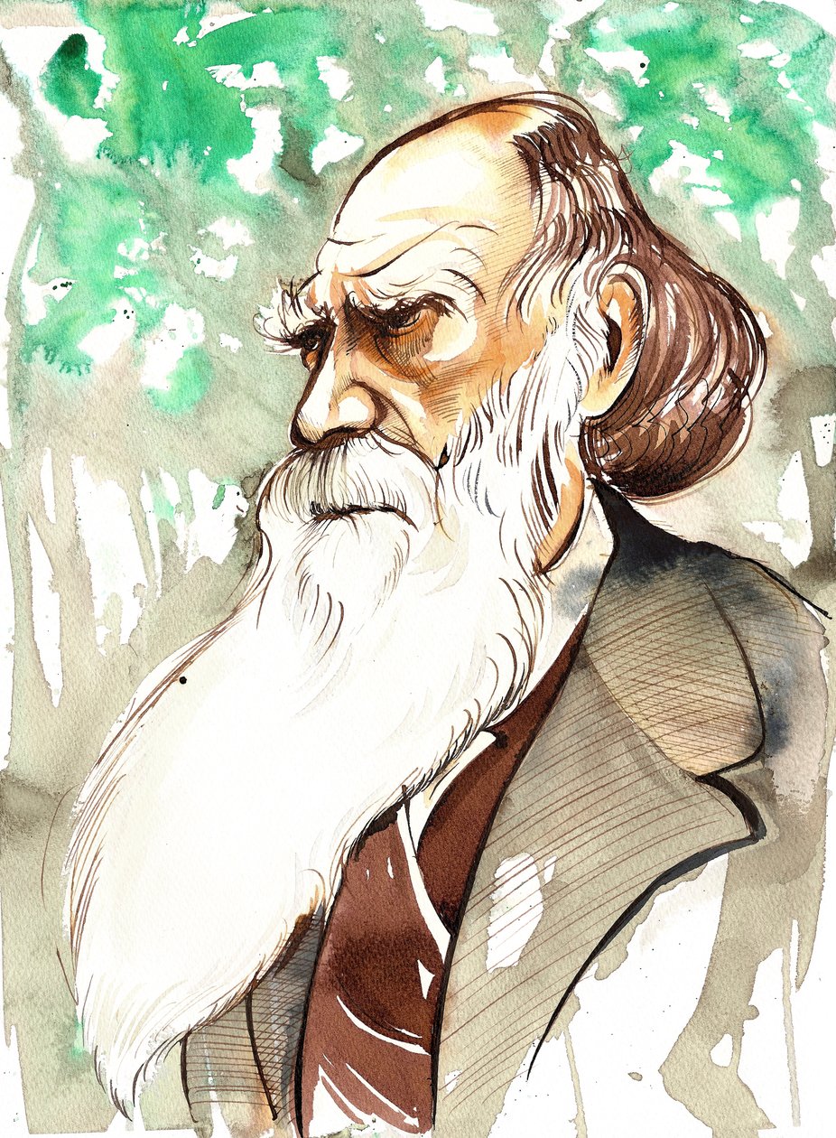 Charles Darwin, English naturalist and writer (1809-82); portrait by Neale Osborne