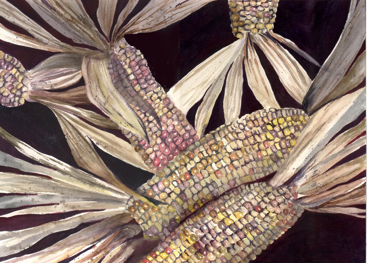 Corn by Neela Pushparaj
