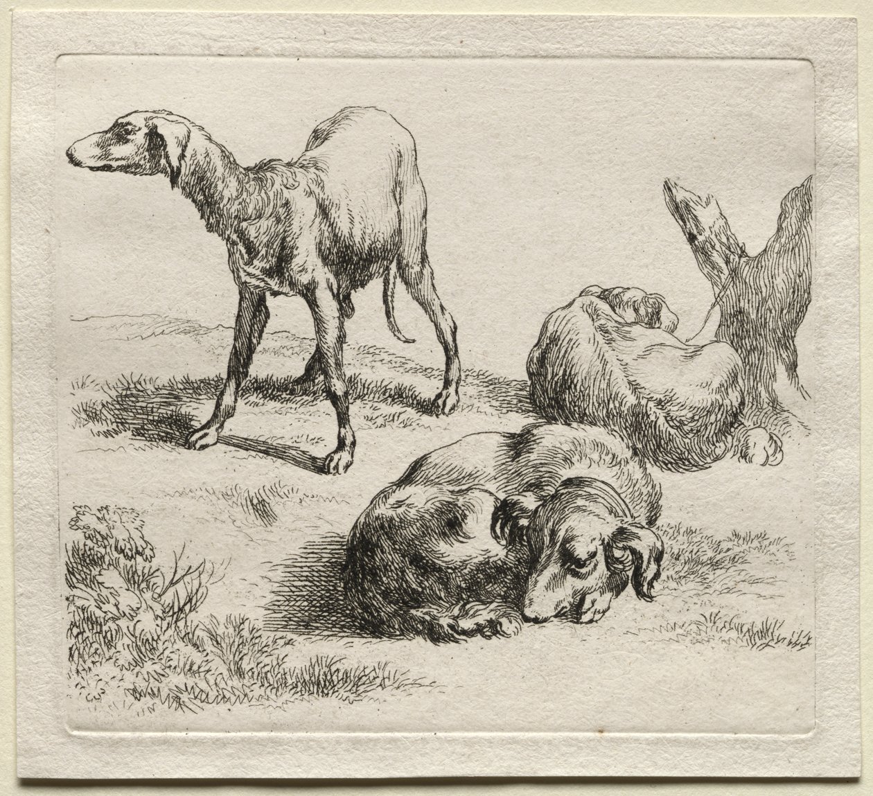 Three Hunting Dogs by Nicolaes Berchem
