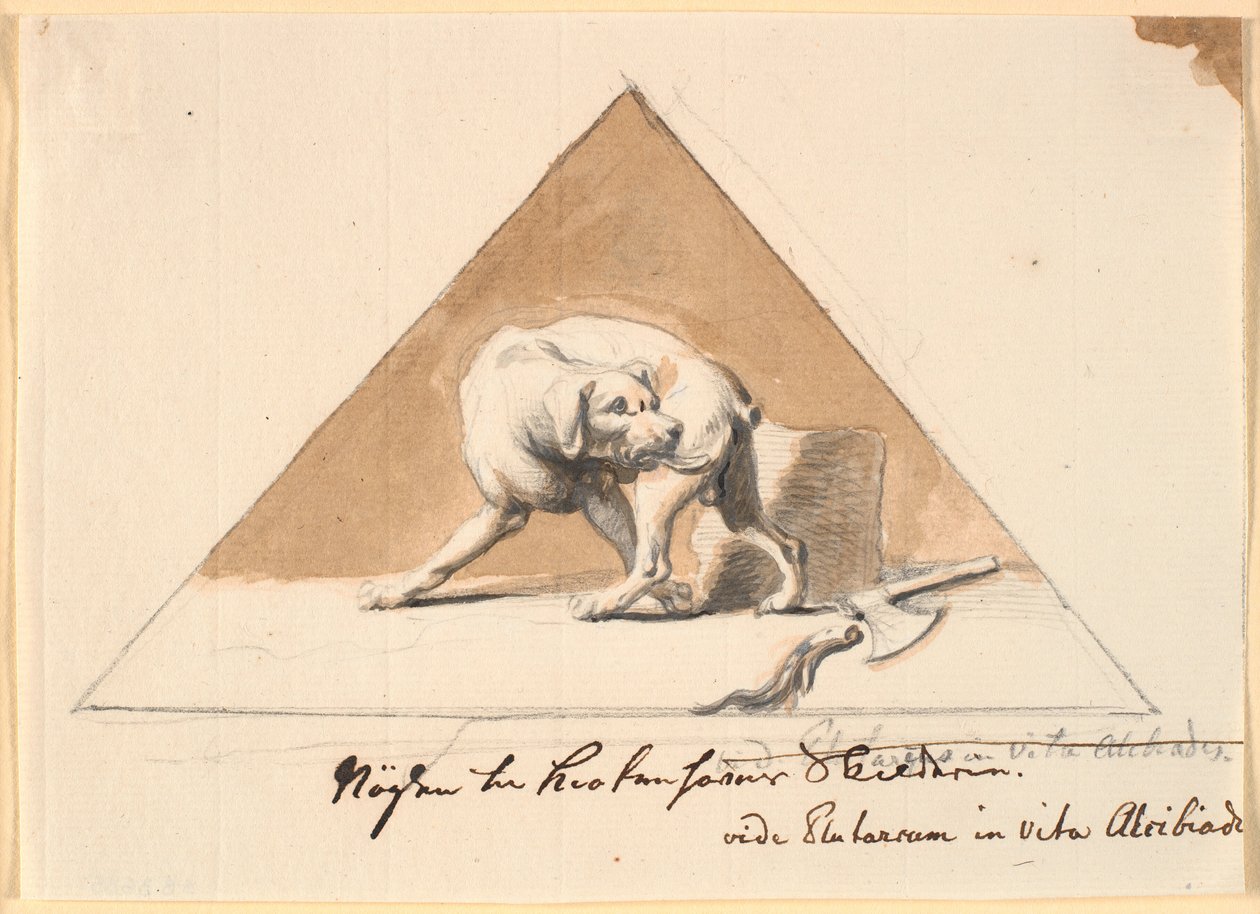 A Dog with a Severed Tail by Nicolai Abildgaard