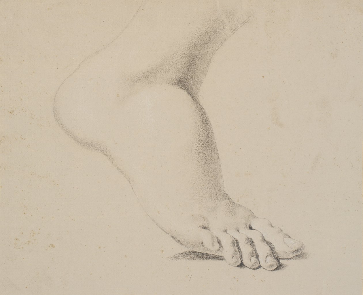 Study of a Foot by Nicolai Abildgaard