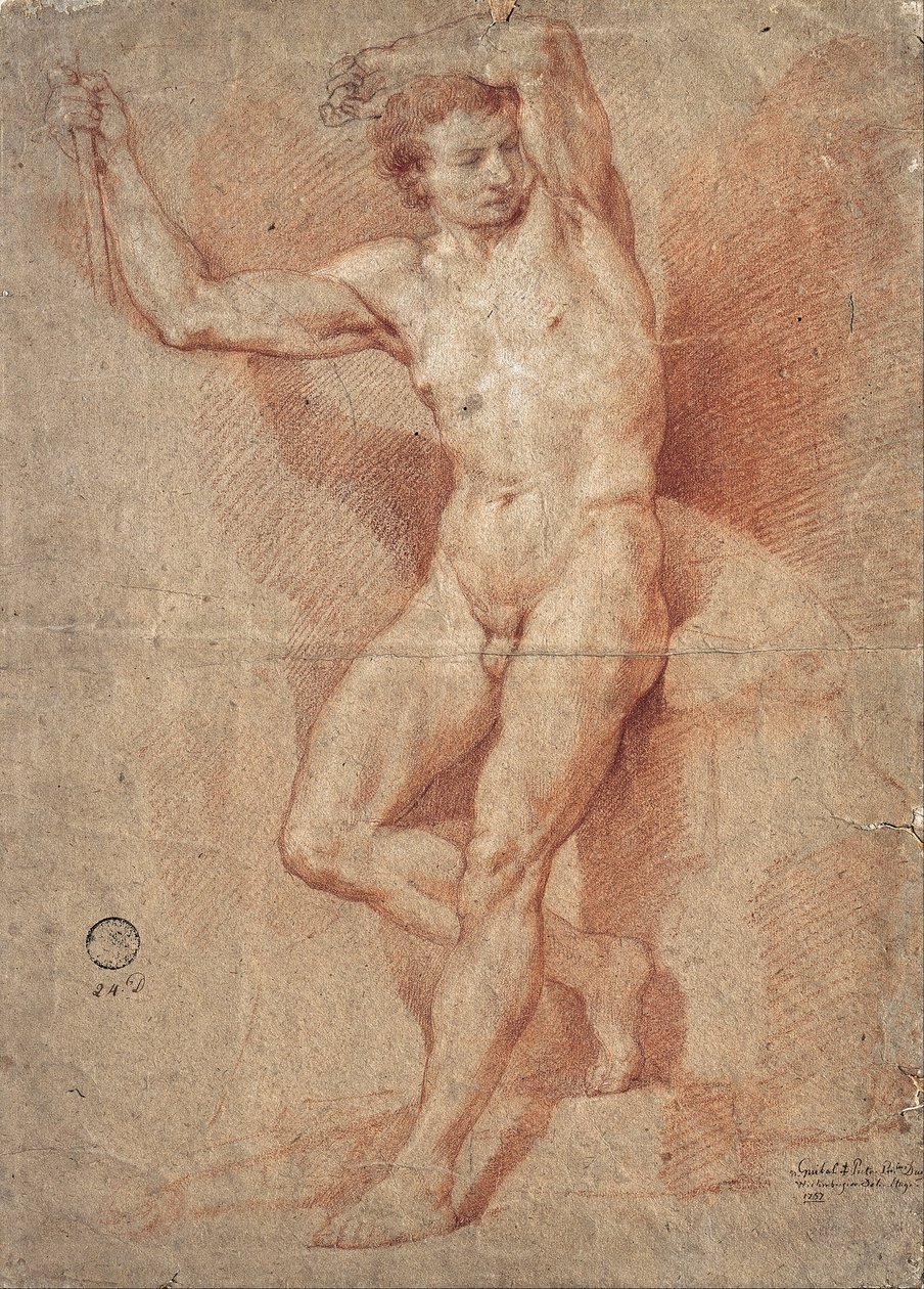 Standing Male Nude by Nicolas Guibal