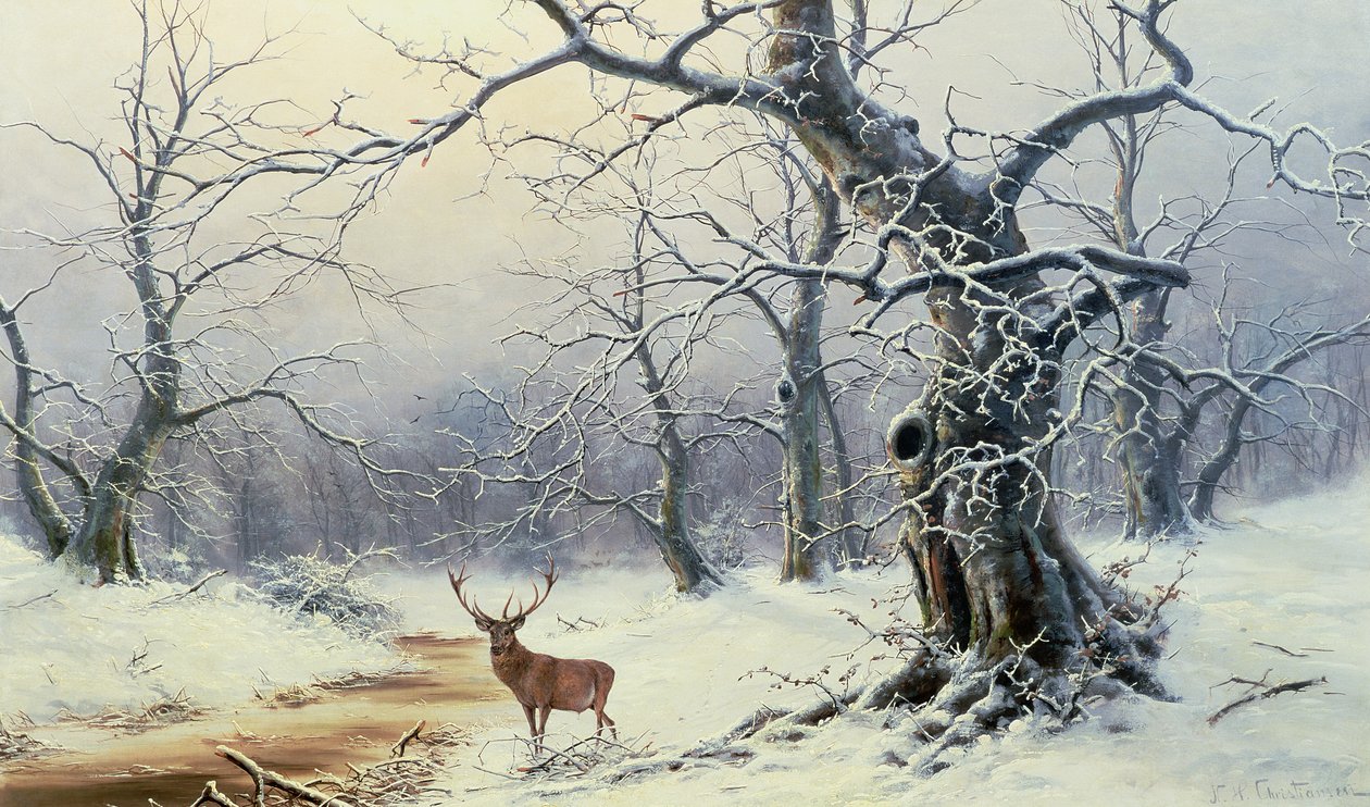Unknown Image by Nils Hans Christiansen