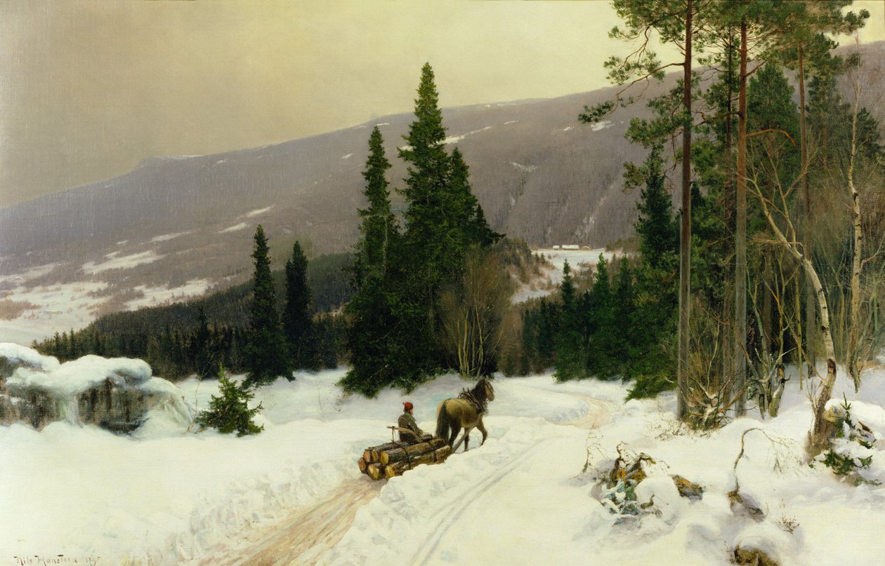 Winter by Nils Hansteen
