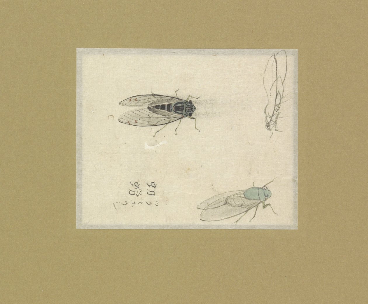 Three Studies of Flies by Nonoyama Kozan (possibly)