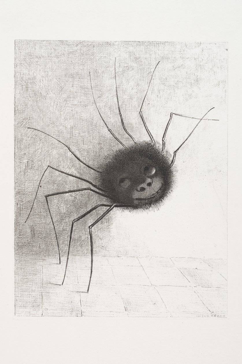 Smiling Spider, c.1881 by Odilon Redon