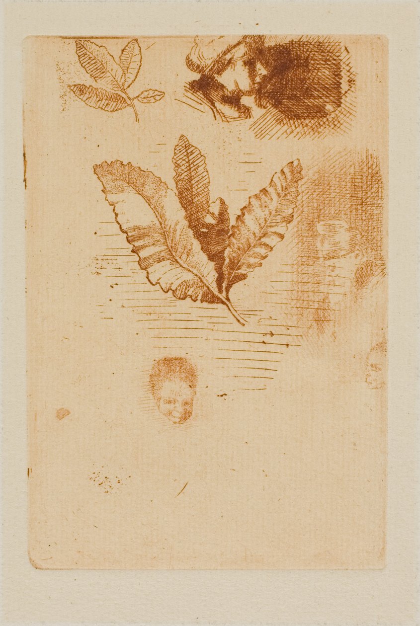 Sketches by Odilon Redon
