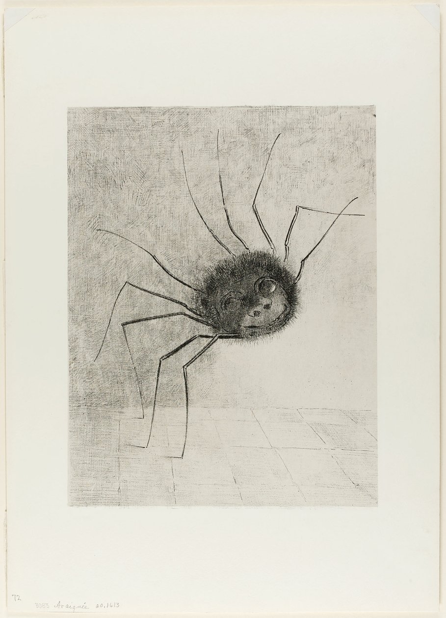 Spider by Odilon Redon