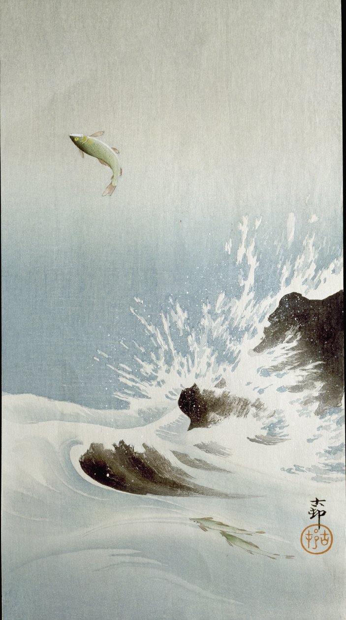 A Fish Leaping Out of the Water, 1907 by Ohara Koson