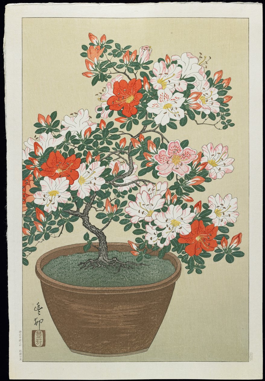 Azalea in Pot, 1930s by Ohara Koson