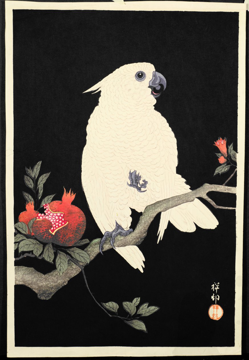 Cockatoo and Pomegranate by Ohara Koson