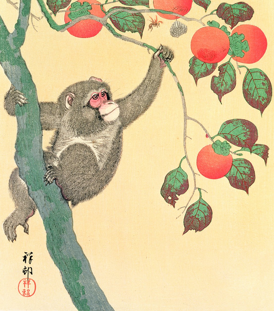 Monkey in a Persimmon Tree, 1935 by Ohara Koson