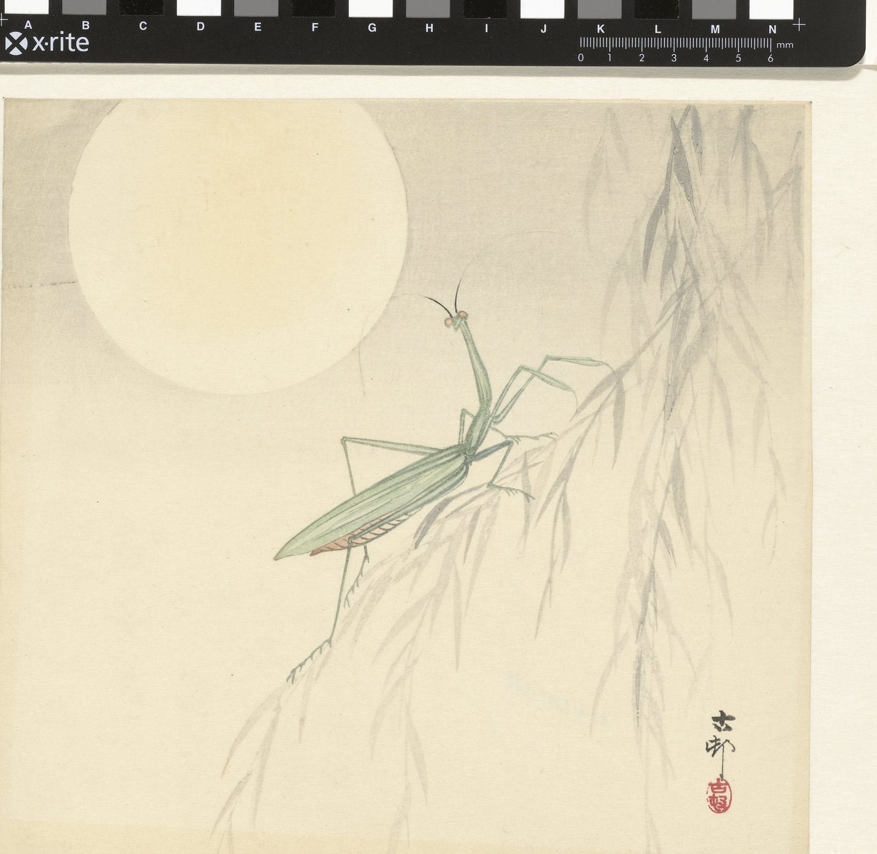 Praying Mantis by Ohara Koson
