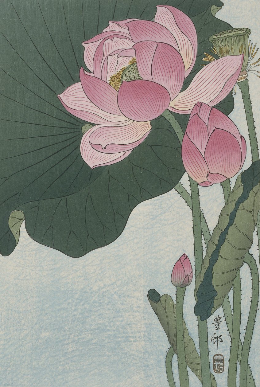 Blooming Lotus Flowers by Ohara Koson