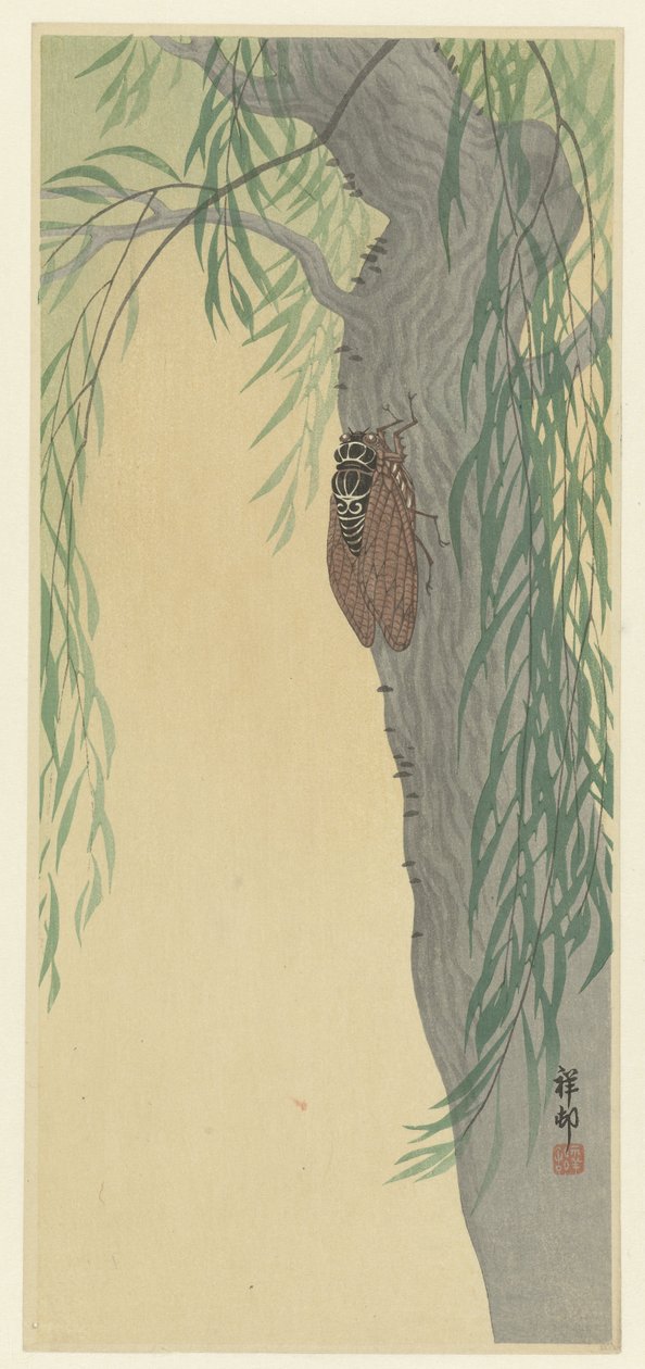 Cicada on a Tree by Ohara Koson