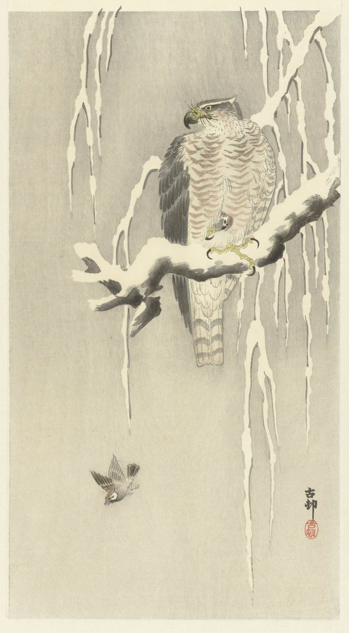 Hawk with Captured Sparrow by Ohara Koson