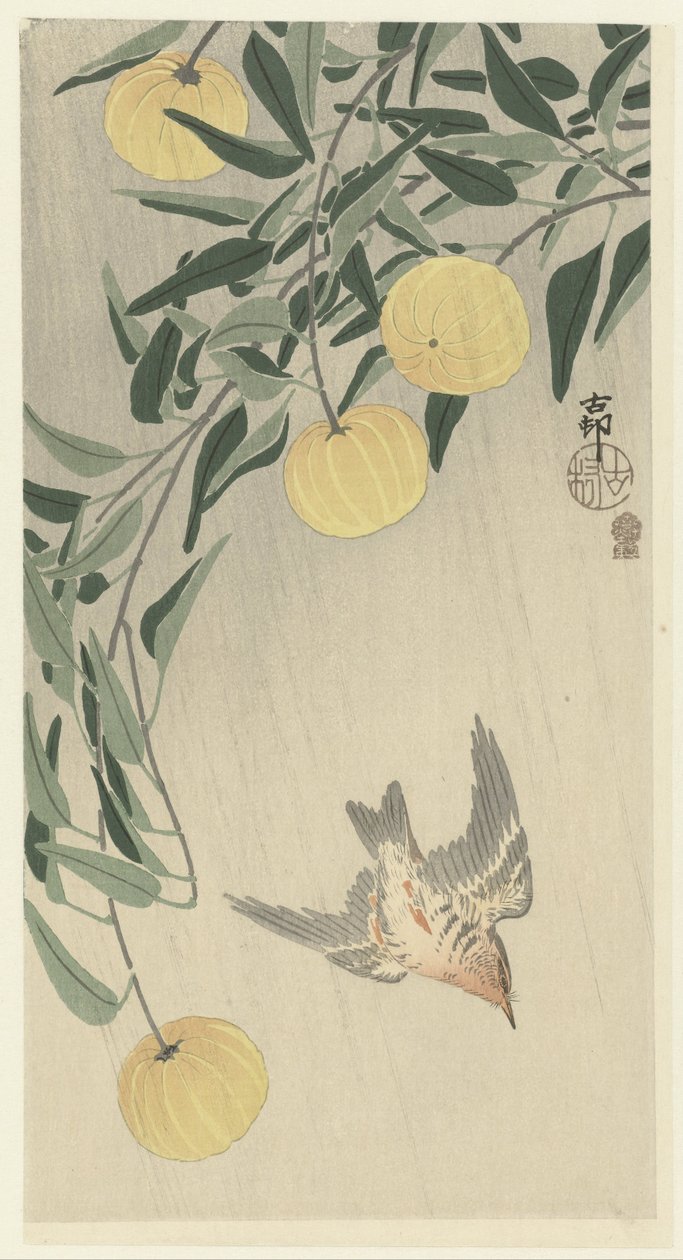Cuckoo in the Rain by Ohara Koson